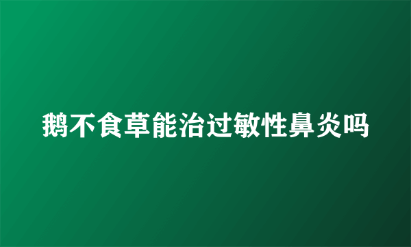 鹅不食草能治过敏性鼻炎吗