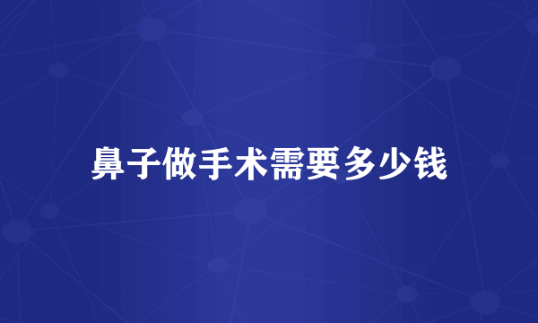 鼻子做手术需要多少钱