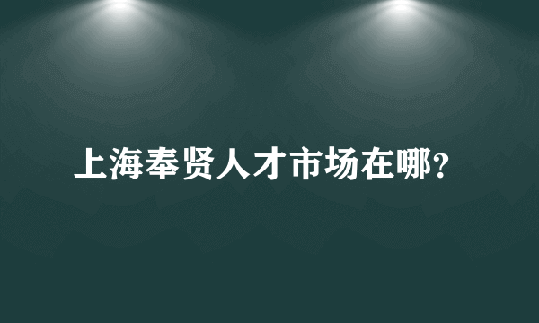 上海奉贤人才市场在哪？