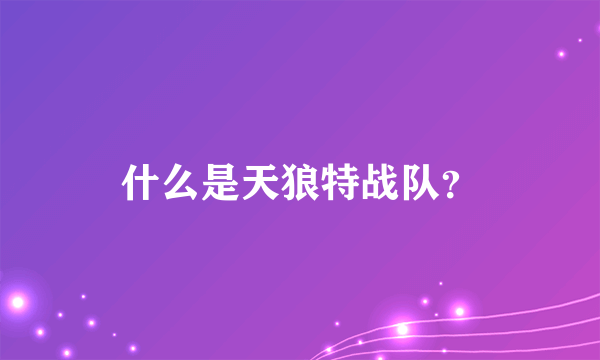 什么是天狼特战队？