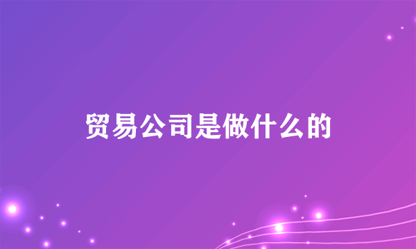贸易公司是做什么的