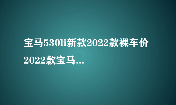 宝马530li新款2022款裸车价 2022款宝马530li仅售46万_飞外网