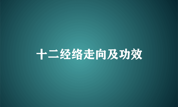 十二经络走向及功效