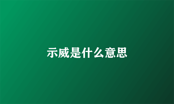 示威是什么意思