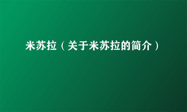 米苏拉（关于米苏拉的简介）