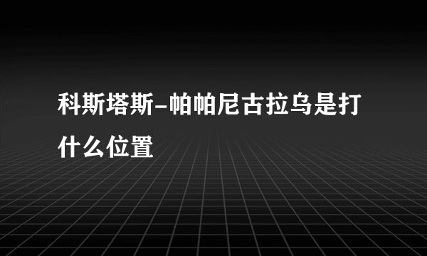 科斯塔斯-帕帕尼古拉乌是打什么位置