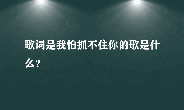 歌词是我怕抓不住你的歌是什么？