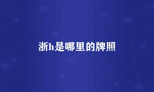 浙h是哪里的牌照