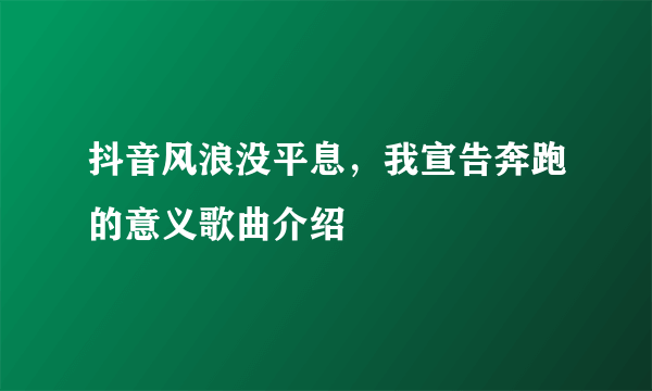 抖音风浪没平息，我宣告奔跑的意义歌曲介绍