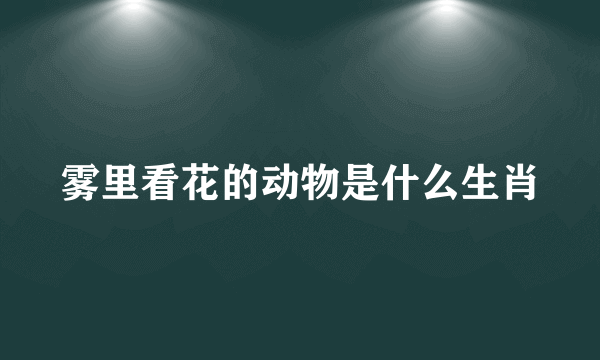 雾里看花的动物是什么生肖