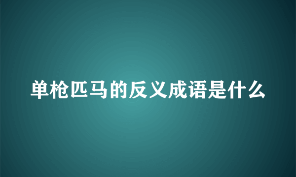 单枪匹马的反义成语是什么