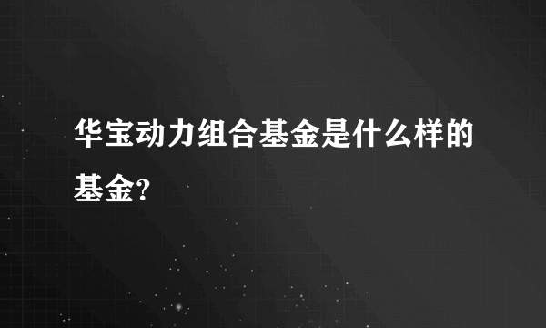 华宝动力组合基金是什么样的基金？