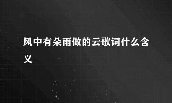 风中有朵雨做的云歌词什么含义