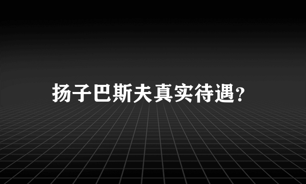 扬子巴斯夫真实待遇？