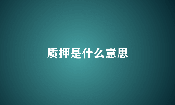 质押是什么意思