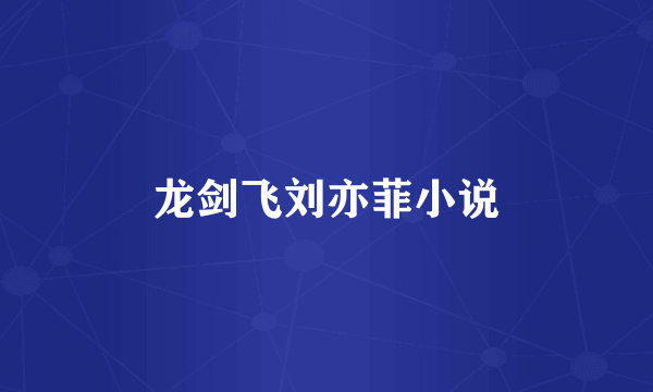 龙剑飞刘亦菲小说