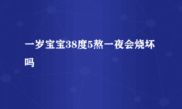 一岁宝宝38度5熬一夜会烧坏吗