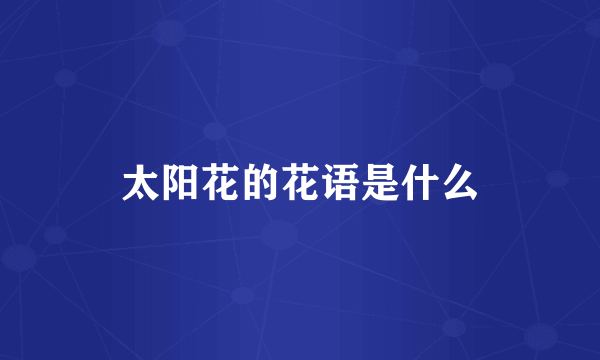 太阳花的花语是什么