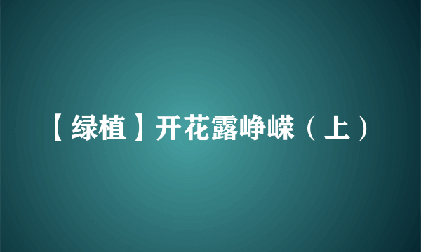 【绿植】开花露峥嵘（上）