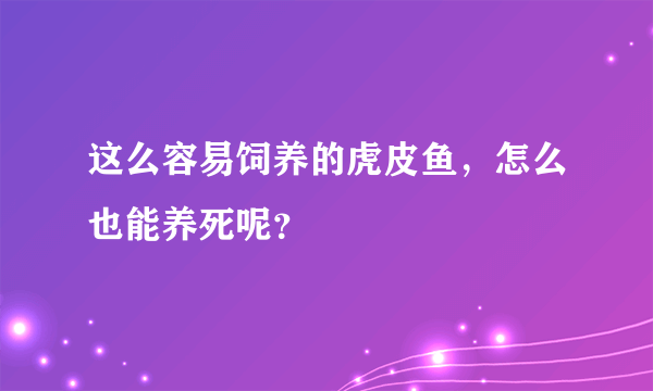 这么容易饲养的虎皮鱼，怎么也能养死呢？