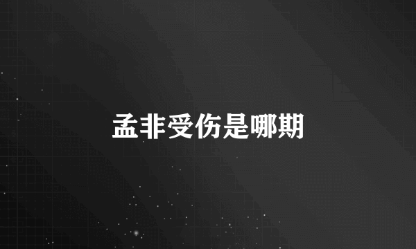 孟非受伤是哪期