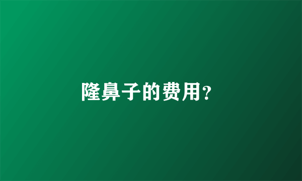 隆鼻子的费用？