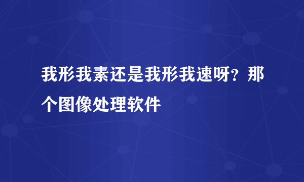 我形我素还是我形我速呀？那个图像处理软件