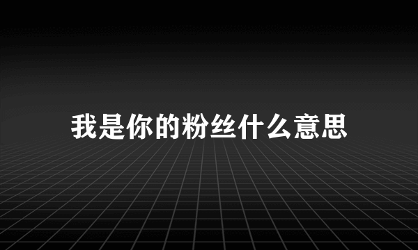 我是你的粉丝什么意思