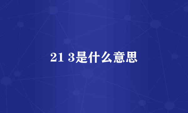 21 3是什么意思