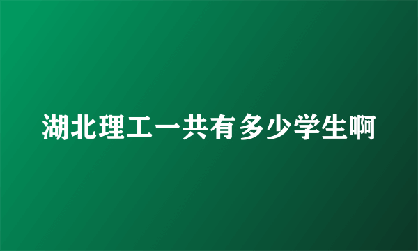 湖北理工一共有多少学生啊