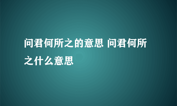 问君何所之的意思 问君何所之什么意思
