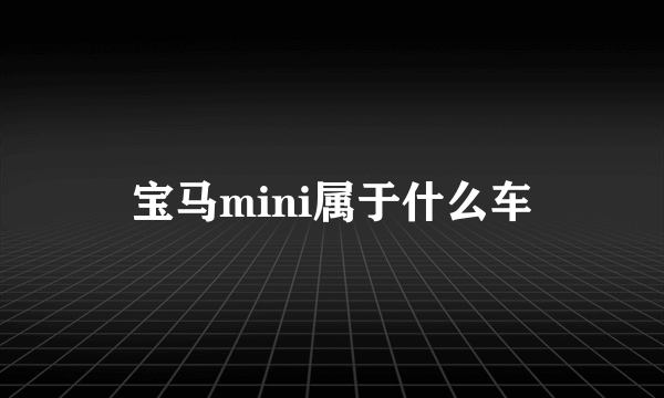 宝马mini属于什么车