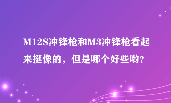 M12S冲锋枪和M3冲锋枪看起来挺像的，但是哪个好些哟？