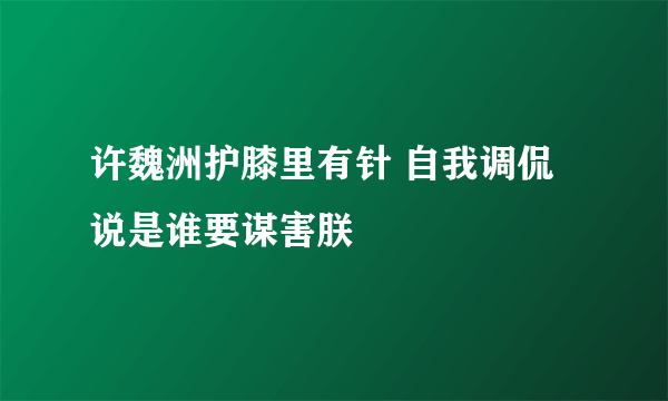 许魏洲护膝里有针 自我调侃说是谁要谋害朕