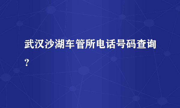 武汉沙湖车管所电话号码查询？