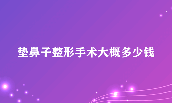 垫鼻子整形手术大概多少钱