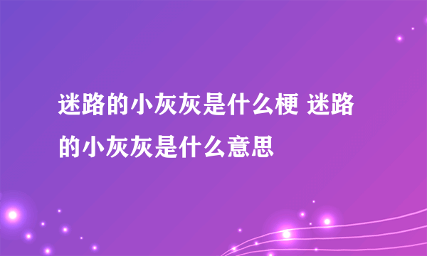 迷路的小灰灰是什么梗 迷路的小灰灰是什么意思