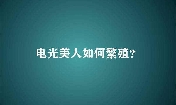 电光美人如何繁殖？