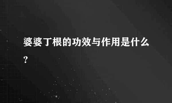 婆婆丁根的功效与作用是什么？