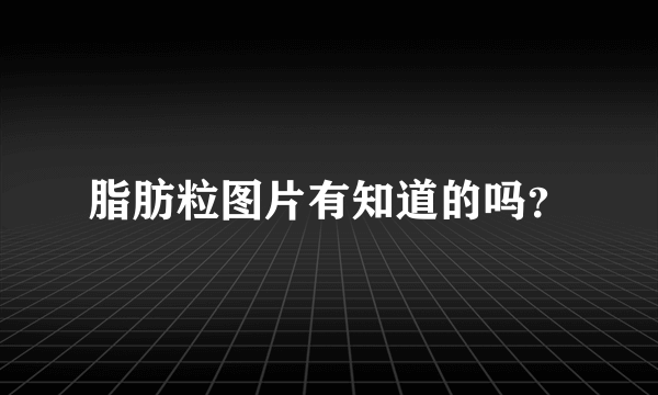 脂肪粒图片有知道的吗？