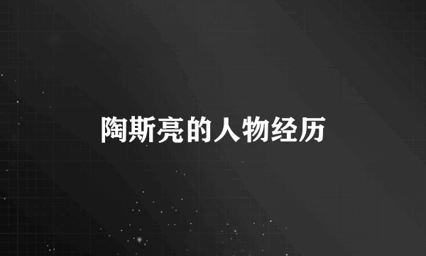陶斯亮的人物经历
