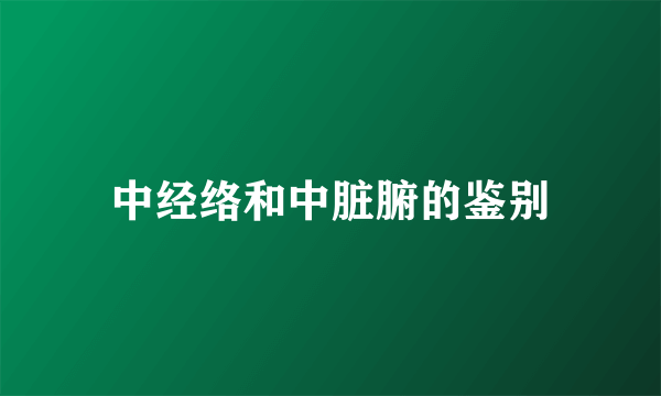 中经络和中脏腑的鉴别