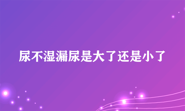 尿不湿漏尿是大了还是小了