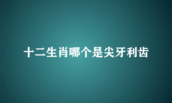 十二生肖哪个是尖牙利齿