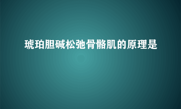 琥珀胆碱松弛骨骼肌的原理是