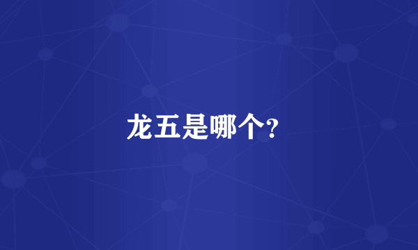 龙五是哪个？