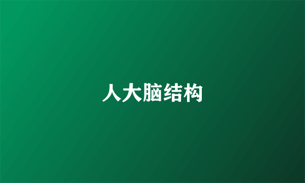 人大脑结构
