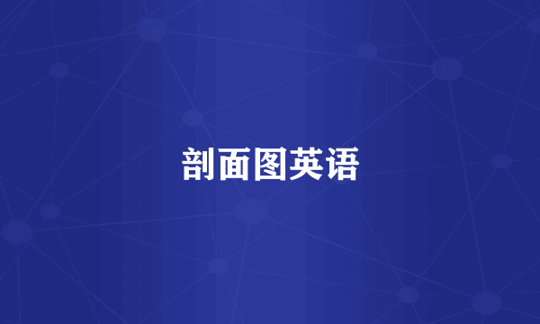 剖面图英语