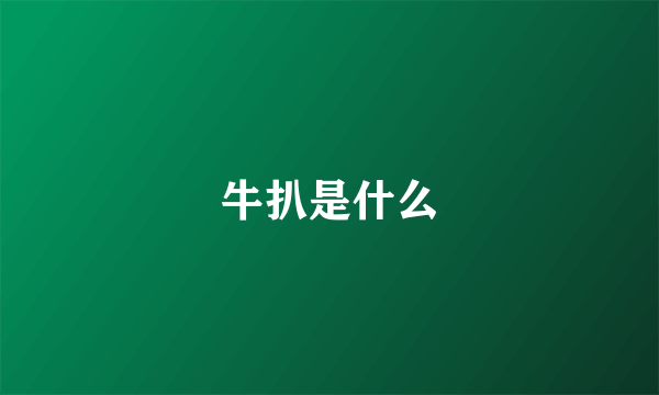 牛扒是什么