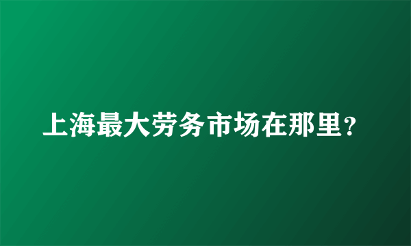 上海最大劳务市场在那里？